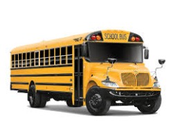 bus